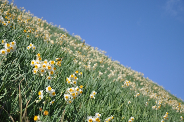 年金手帳を持つドクター
